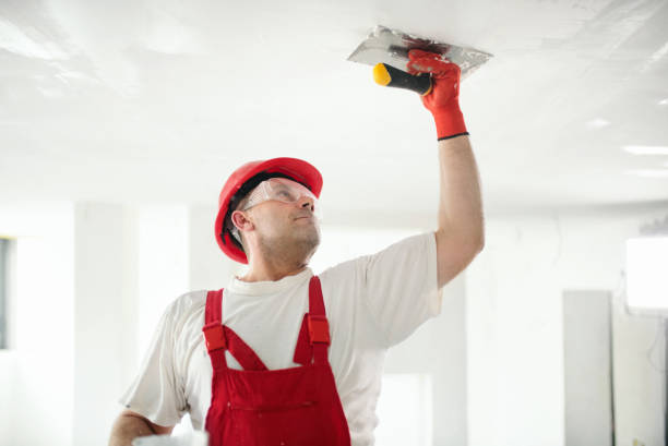 Best Mold Documentation for Insurance Claims  in Lampasas, TX